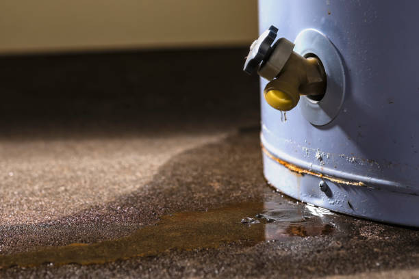 Best Carpet water damage restoration  in Lubeck, WV