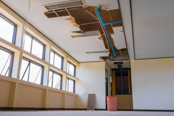 Best Residential water damage restoration  in Lubeck, WV
