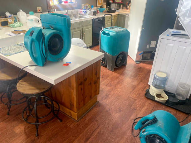 Best Water damage restoration near me  in Lubeck, WV