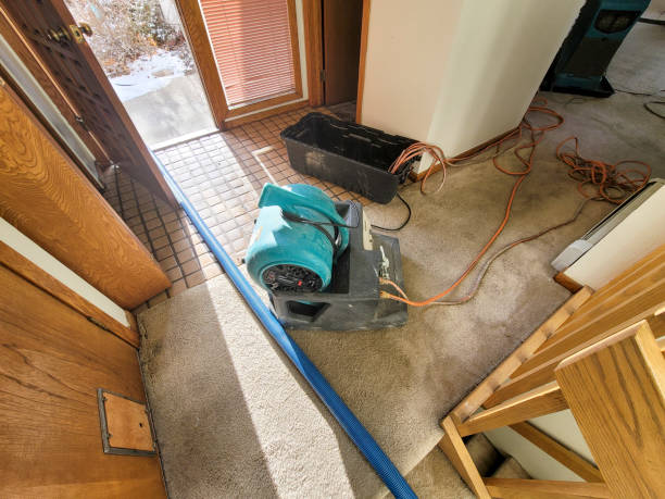 Best Commercial water damage restoration  in Lubeck, WV