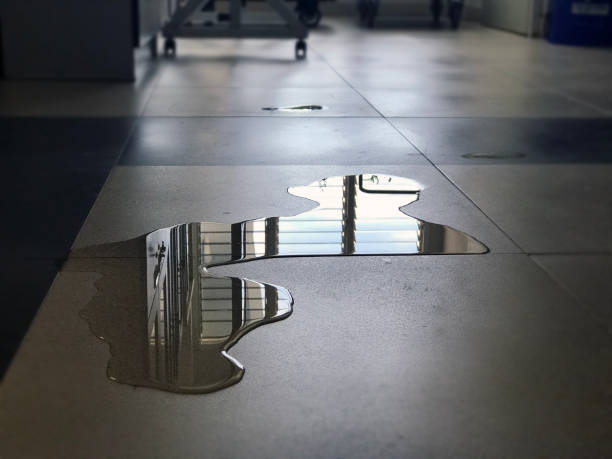 Best Water damage repair service  in Lubeck, WV