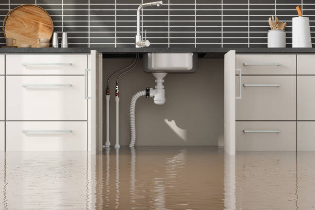 Best 24/7 water damage repair  in Lubeck, WV