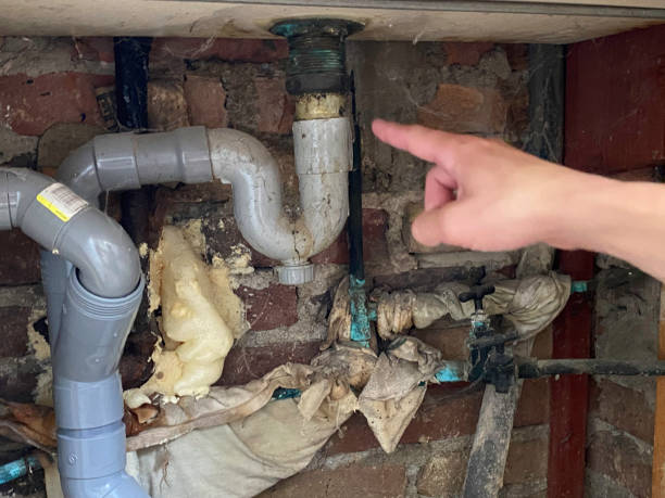 Best Water damage contractors near me  in Lubeck, WV