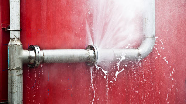 Best Carpet water damage restoration  in Lubeck, WV